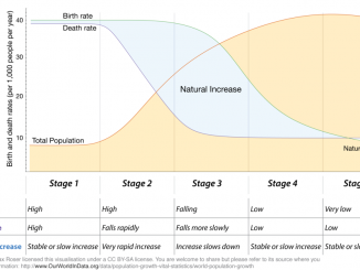 Demographic Transition Theory