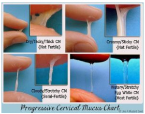 Natural Family Planning Mucus Chart