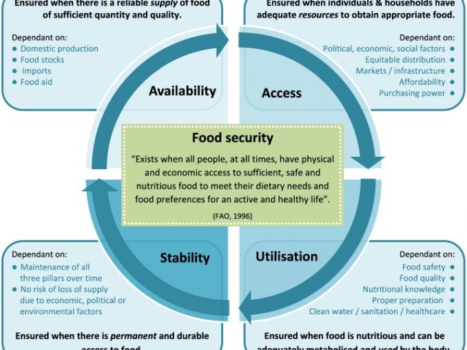 Components Of Food Security Archives Public Health Notes