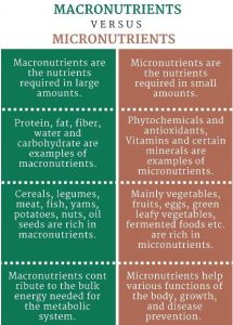 Macro And Micronutrients Chart