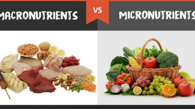 lacking in magnesium, here are your macronutrients, fats, proteins, and carbohydrates and micronutrients, your vitamins and minerals 
