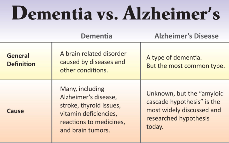 Dementia And Alzheimer