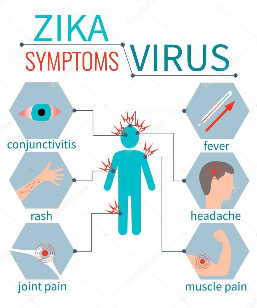 Zika Virus: Everything That You Must Know ! - Public Health Notes