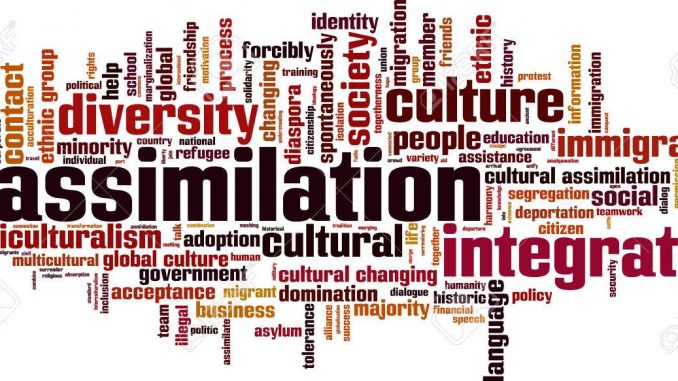 What Is Assimilation Acculturation And Enculturation Public Health What Is Assimilation Acculturation And Enculturation Public Health