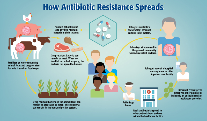 Evitar bajada de defensas por antibióticos