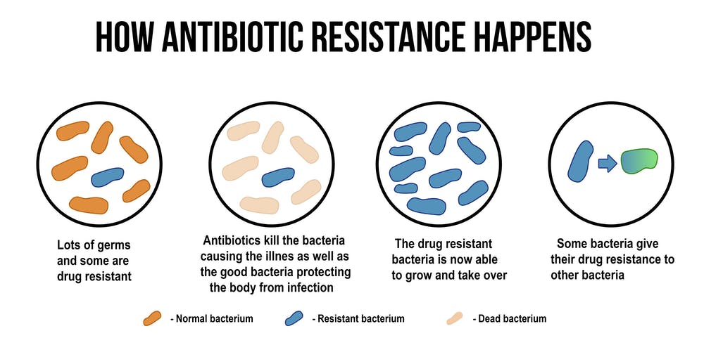 What Is Antimicrobial Resistance Amr Public Health Notes