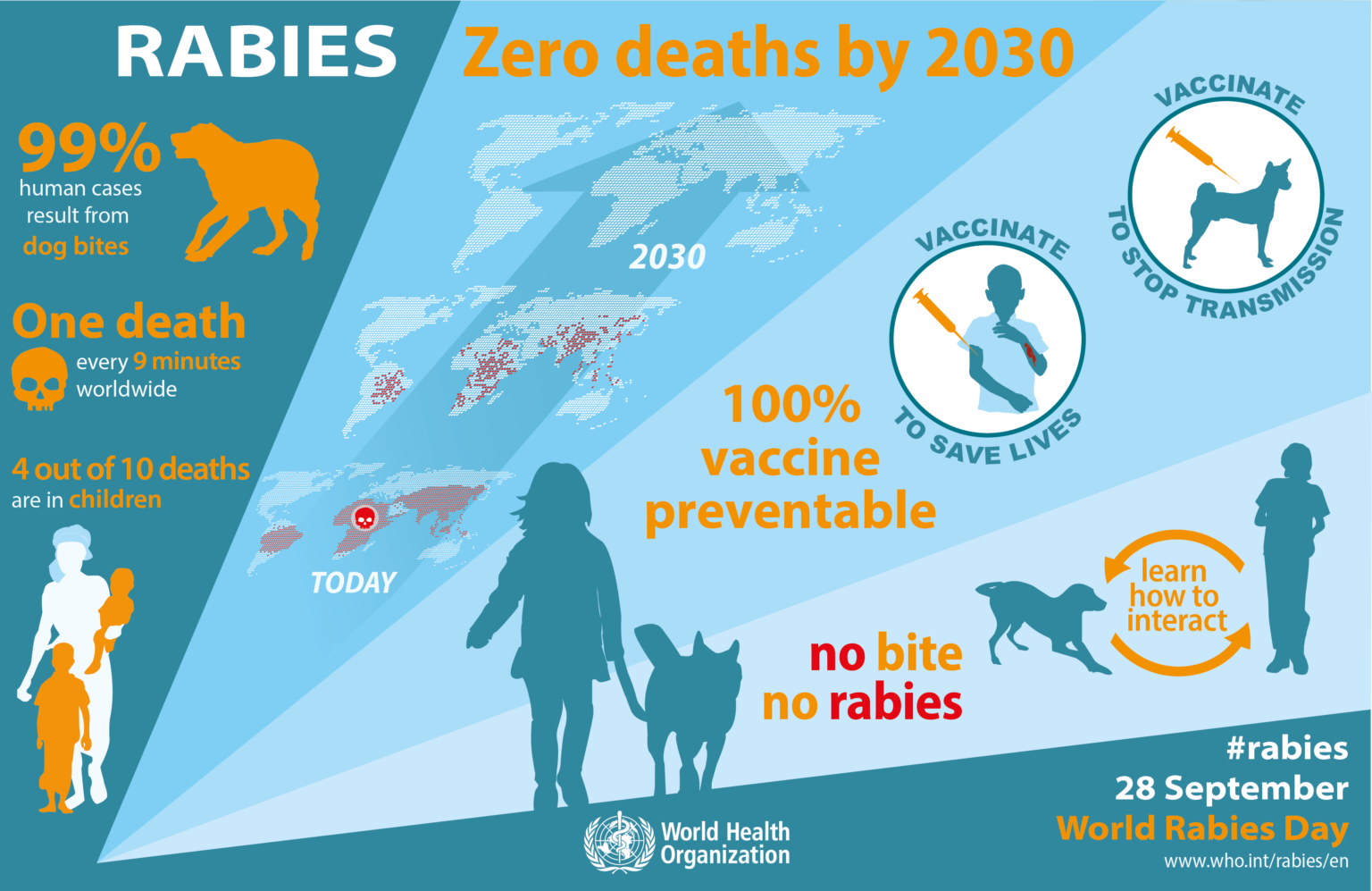 rabies-key-facts-transmission-incubation-period-symptoms