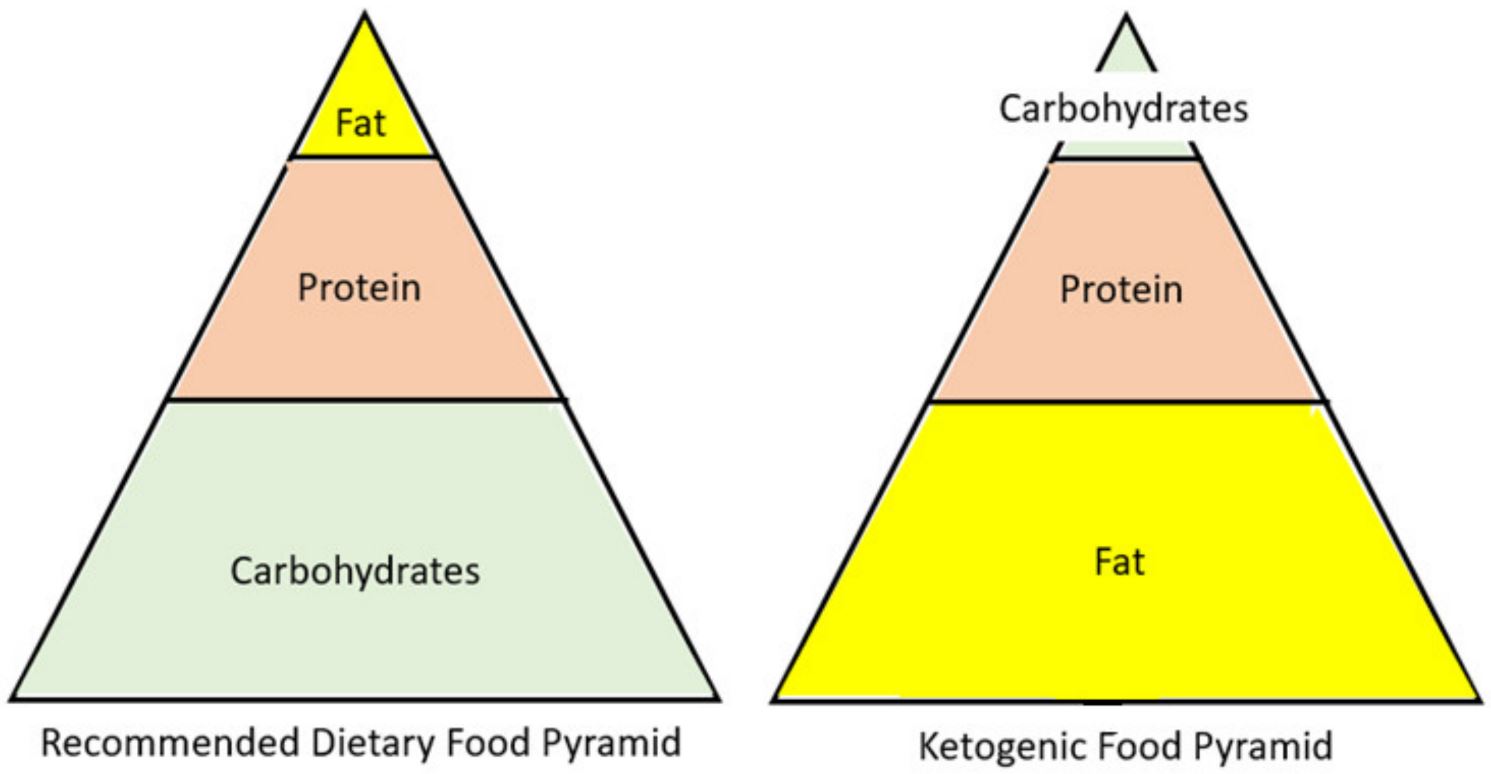 Keto Diet What is Ketogenic Diet? Public Health Notes