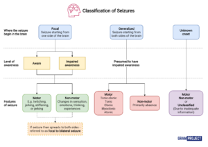 classification of seizure