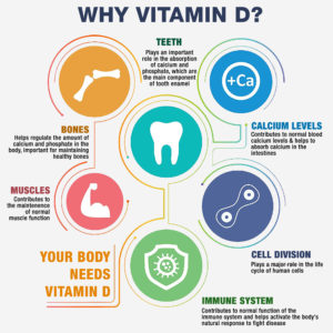 Functions of Vitamin D