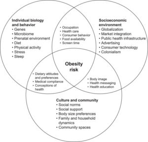 Risk factors of obesity