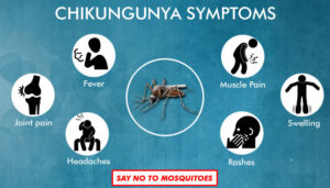 symptoms of chikungunya