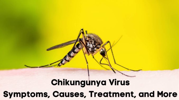 chikungunya
