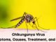 chikungunya